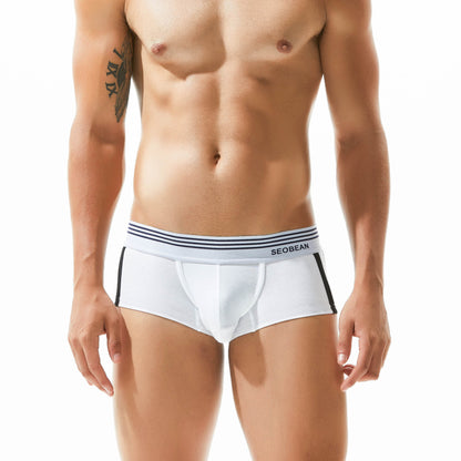 Men's Underwear Low Waist Cotton Boxer Briefs