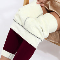 Add Velvet Padded Glossy Lambswool Leggings