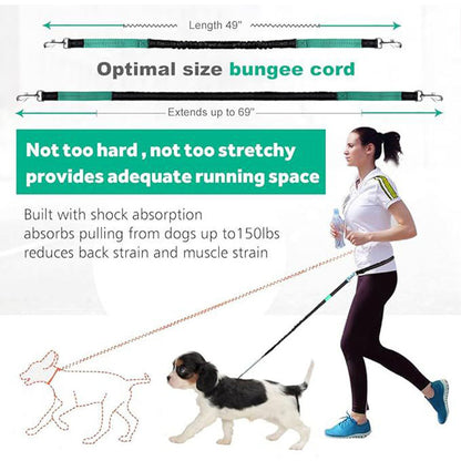 Pet Running Traction Jump Rope Suit Reflective Night Running Sports Waist Bag Cross