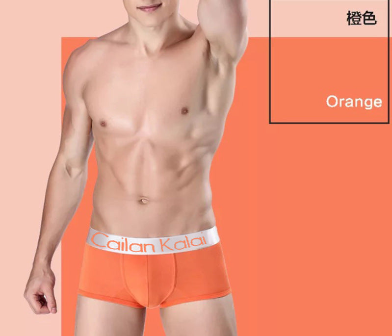 Men's Underwear Boxers Modal Breathable Boxer