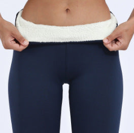 Add Velvet Padded Glossy Lambswool Leggings