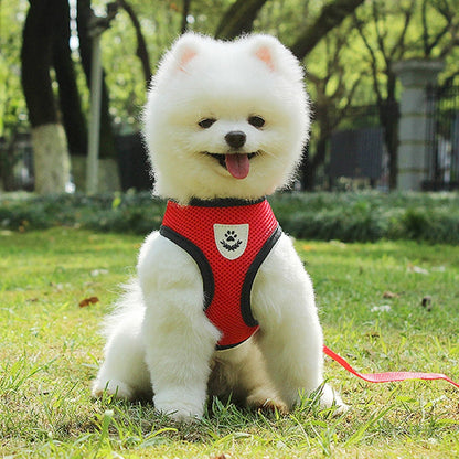 Pet Car Seat Belt Pet Leash