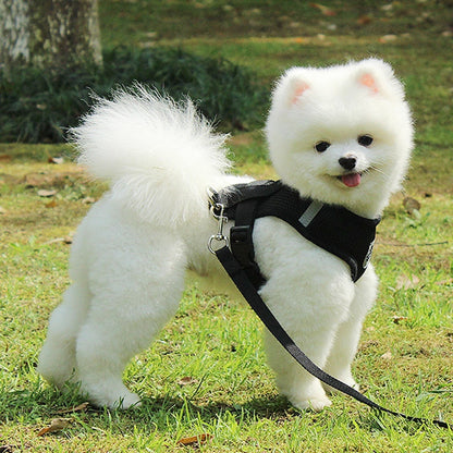 Pet Car Seat Belt Pet Leash