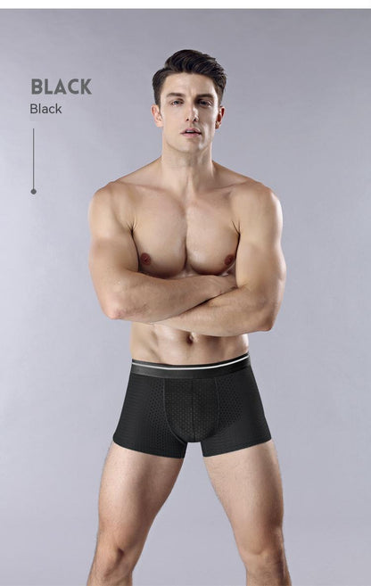 Ice Silk Full Mesh Large Size Men's Underwear Cotton Crotch Mid-waist Boxers